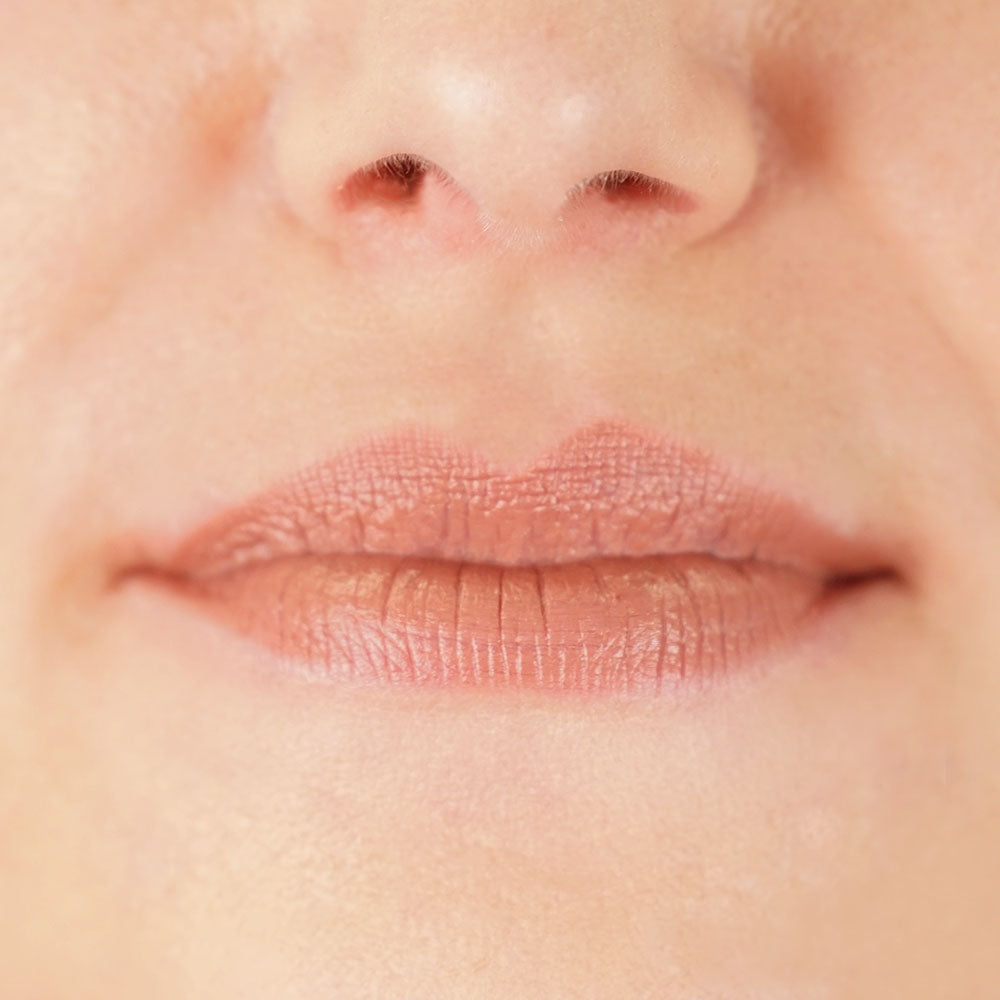 Labial Cocoon Brownish Pink 416 – ZAO Makeup